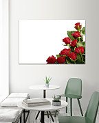 Obraz Roses of red 1438